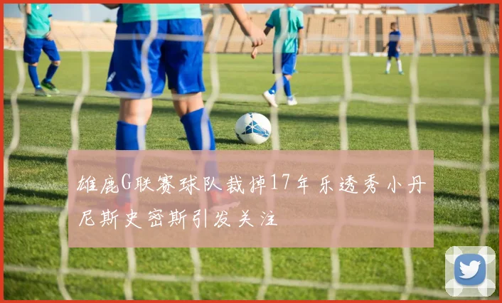 雄鹿G联赛球队裁掉17年乐透秀小丹尼斯史密斯引发关注