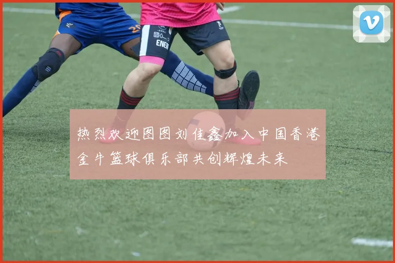 热烈欢迎图图刘佳鑫加入中国香港金牛篮球俱乐部共创辉煌未来
