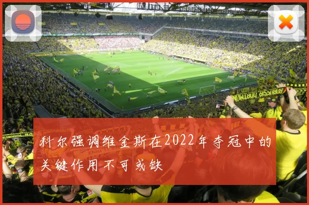 科尔强调维金斯在2022年夺冠中的关键作用不可或缺